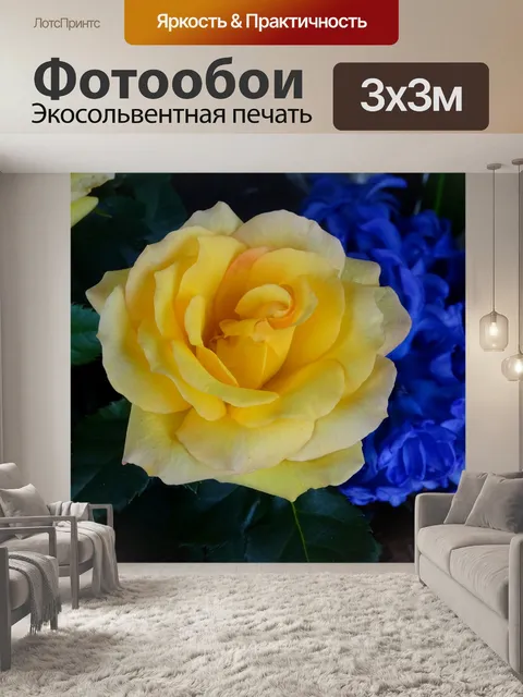 Фотообои Желтый цветок розы