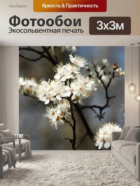 Фотообои Весна Белого дерева весной