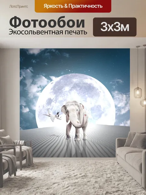 Фотообои Слон