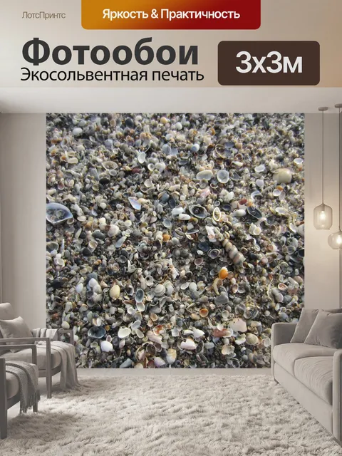 Фотообои Ракушки