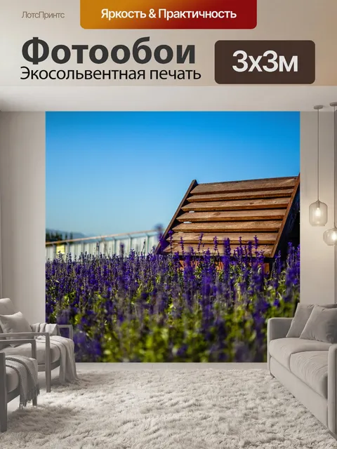 Фотообои Дом