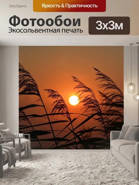 Фотообои Заход солнца