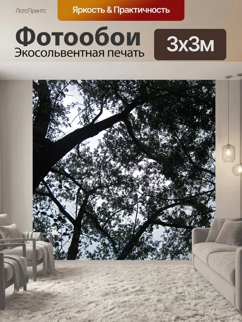 Фотообои вид сверху на дерево с ветвями