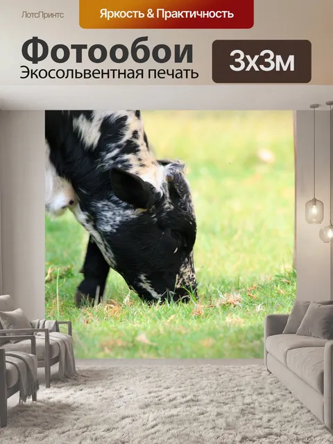 Фотообои Корова