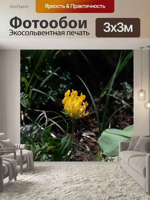 Фотообои Подлинное бирюза