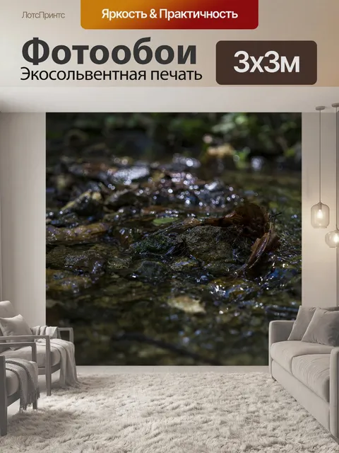 Фотообои Поток