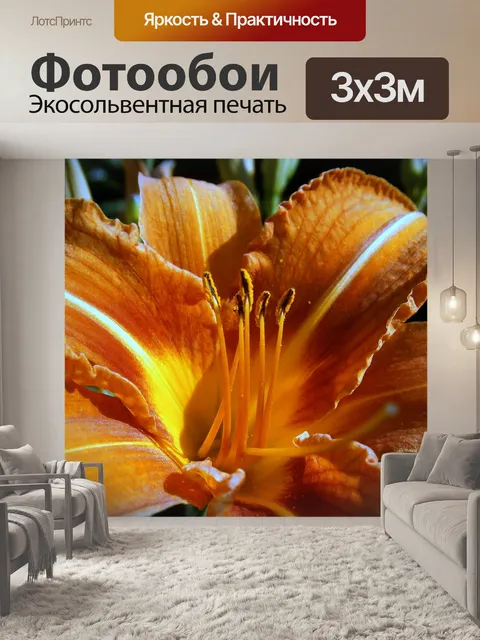 Фотообои Лили