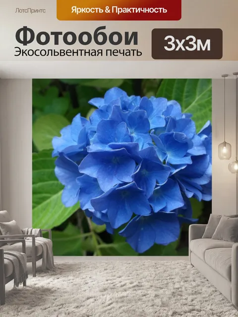 Фотообои Гортензия