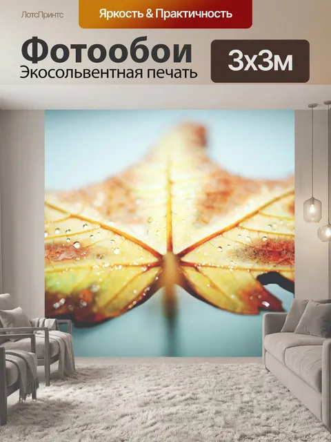 Фотообои Крупным планом