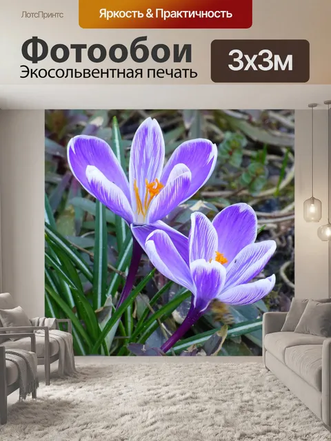 Фотообои Цветы