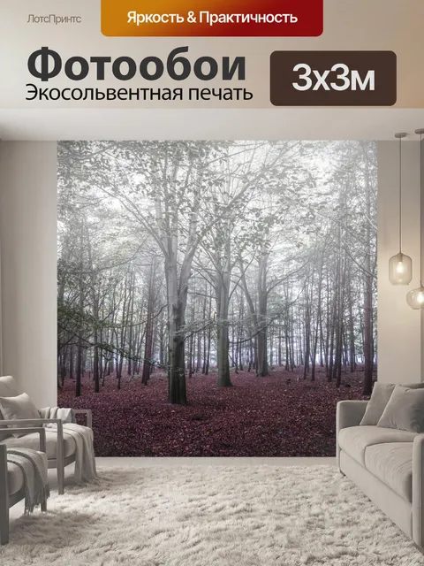 Фотообои Туманный лес