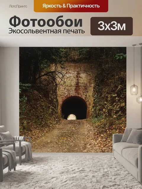 Фотообои Туннель