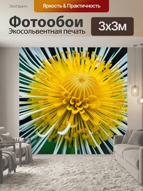Фотообои с одуванчиком