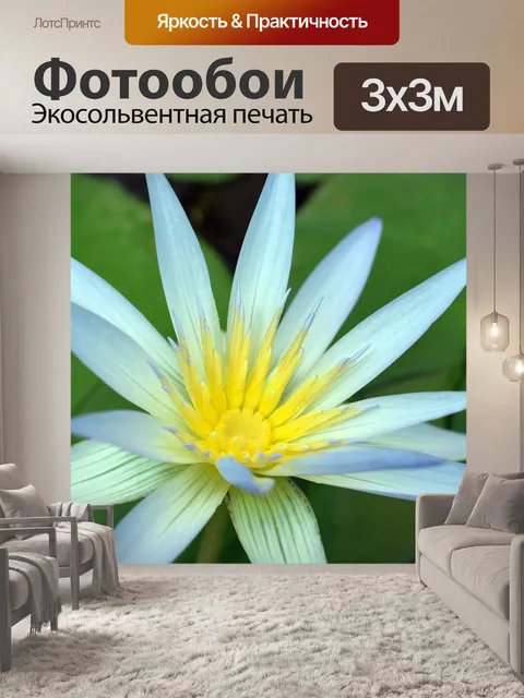 Фотообои Лотос