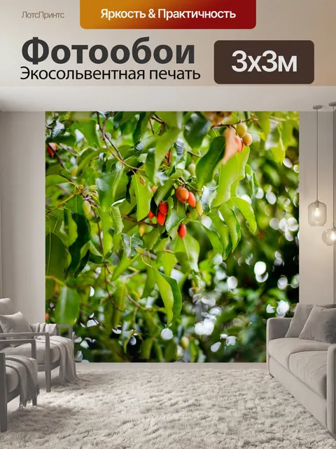 Фотообои Лист