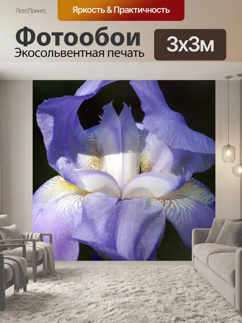 Фотообои Лаванда Iris