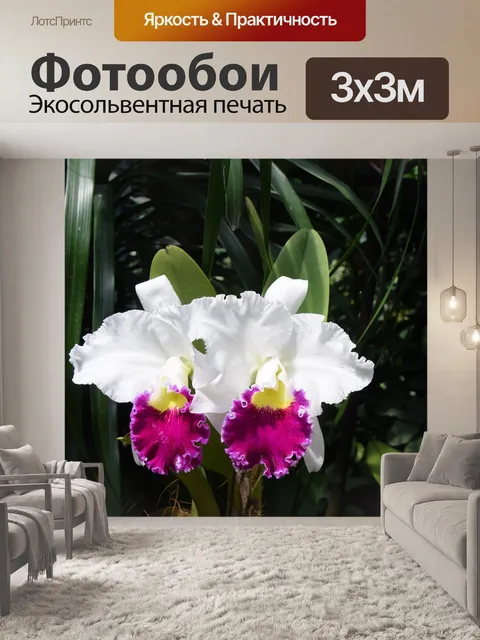Фотообои Фруктовый сад