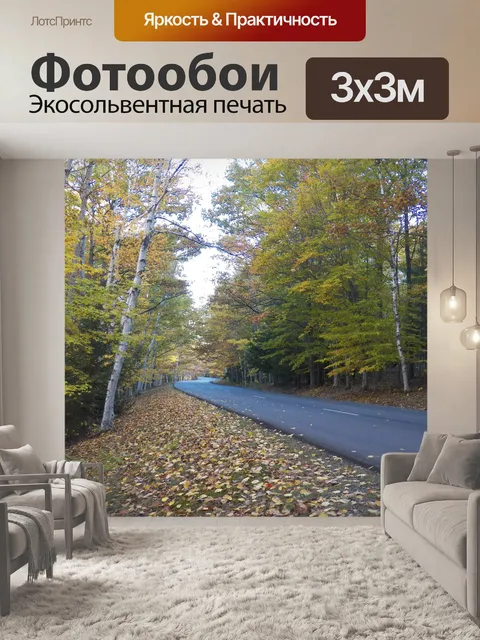 Фотообои Проселочная дорога