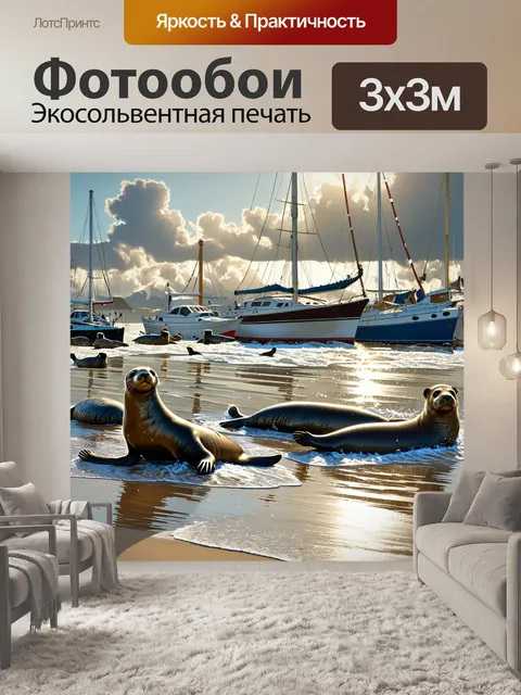 Фотообои гавань утром после шторма, тюлени выбрались на берег, наслаждаясь свежим воздухом и солнечными лучами