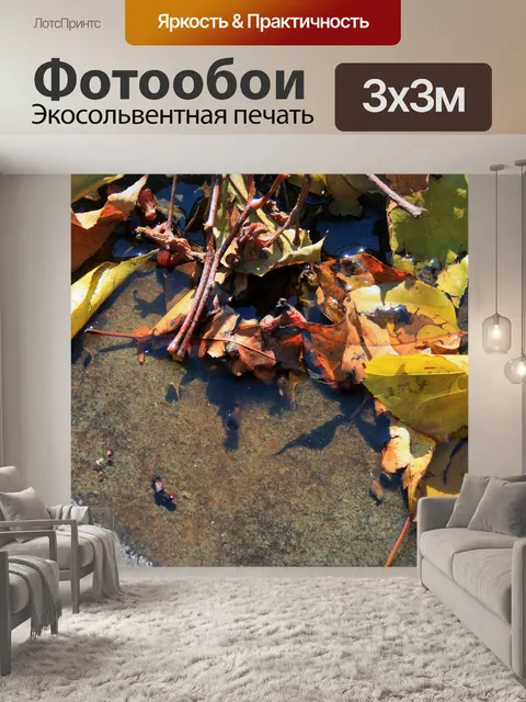 Фотообои лужа с листьями