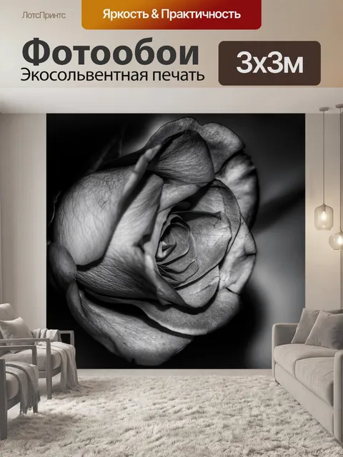 Фотообои Роза