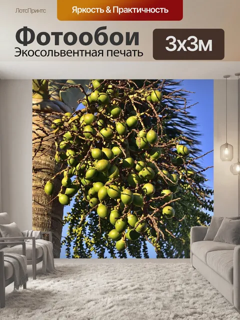 Фотообои Ладонь
