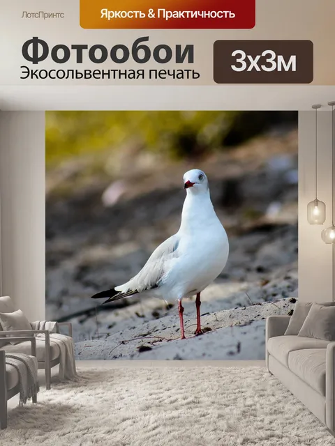 Фотообои Птицы