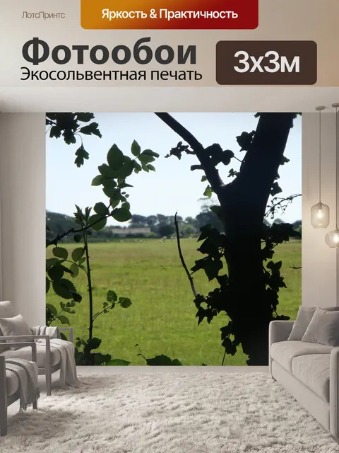Фотообои Английский