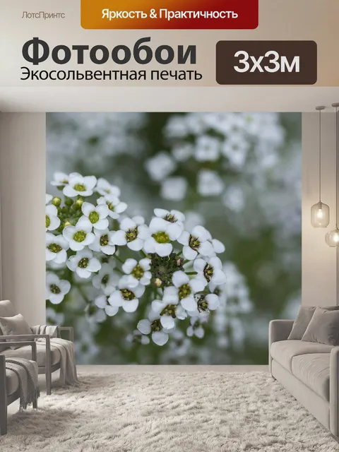 Фотообои Крошечные белые цветы
