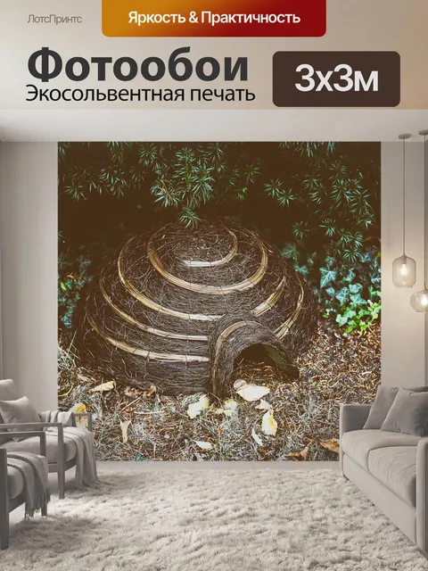 Фотообои Еж дома