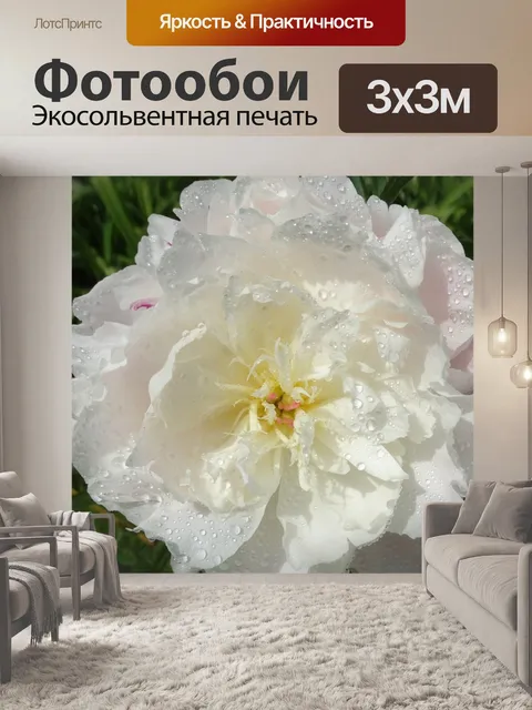 Фотообои Пион белый
