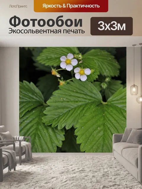 Фотообои Цветущий