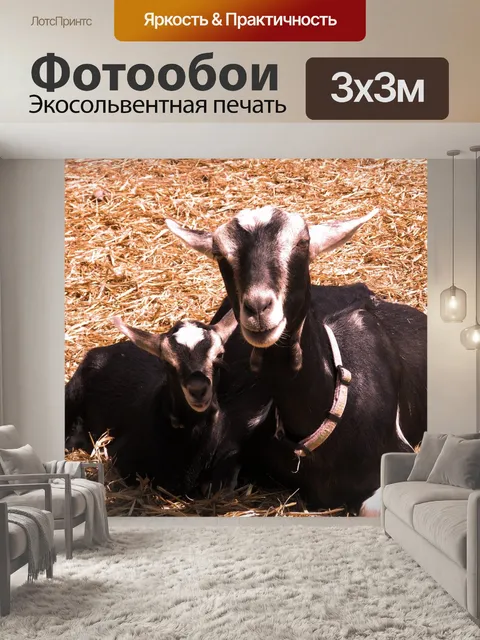 Фотообои Козленок