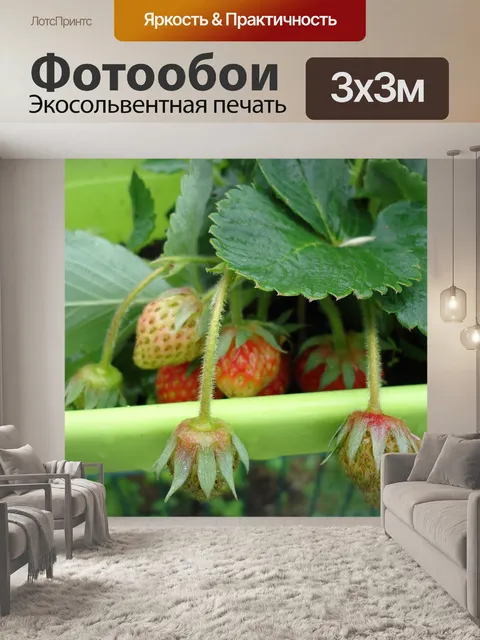 Фотообои Еда