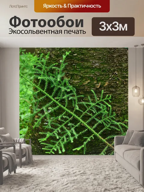 Фотообои Дерево