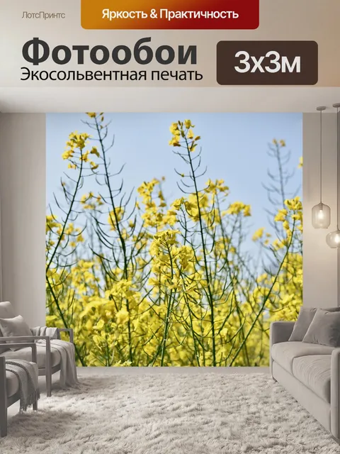 Фотообои Рапс