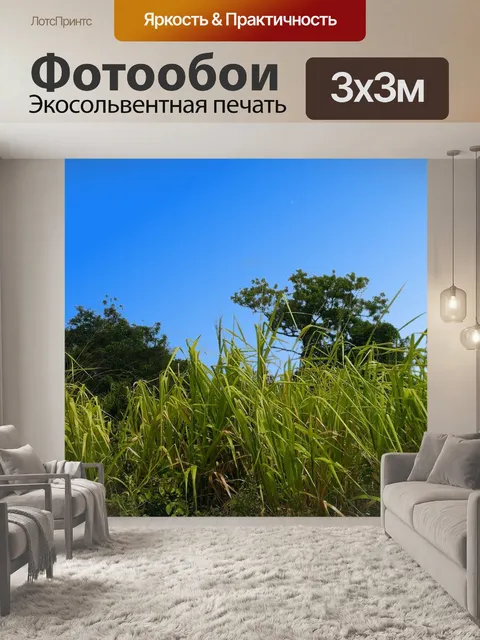 Фотообои Трава