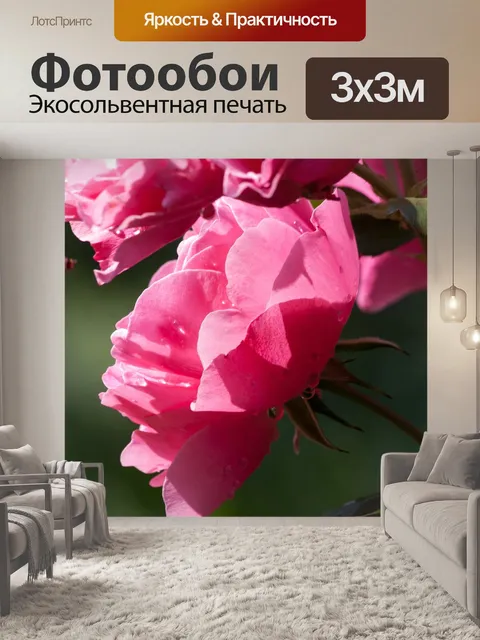 Фотообои Розы
