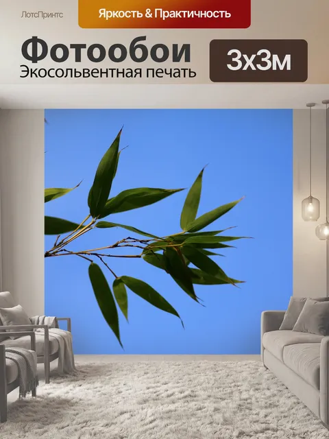 Фотообои Бамбук