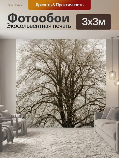 Фотообои Дерево Зима и туман