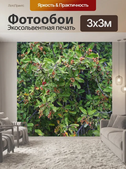 Фотообои шип буйвола с фруктами