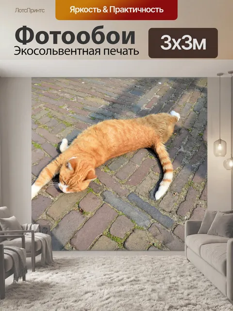 Фотообои Кошки 6