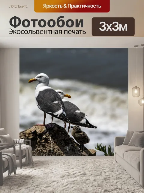 Фотообои семья чаек