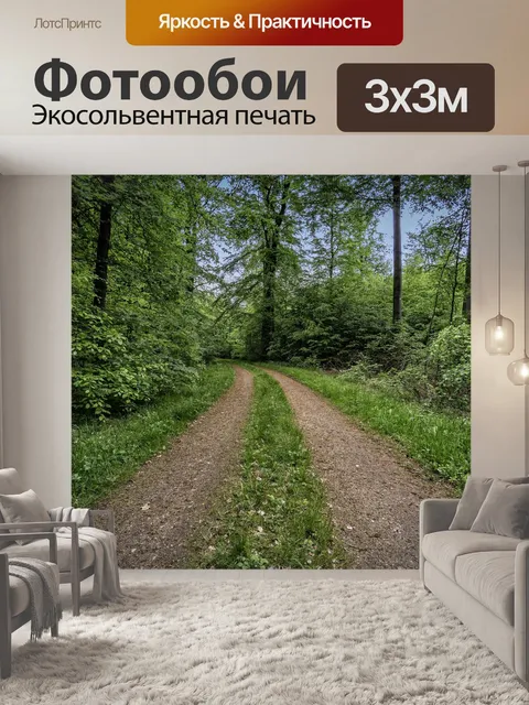 Фотообои Грязная дорога