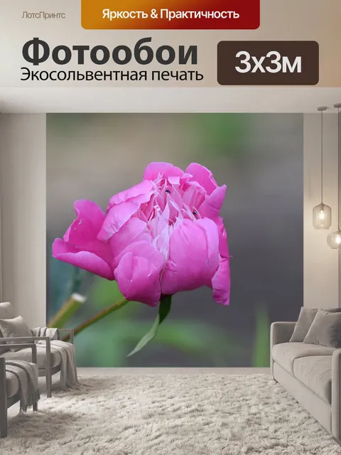 Фотообои Любовь