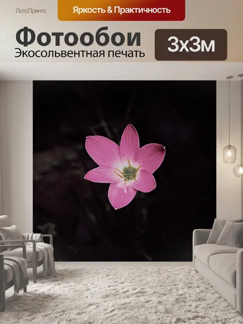 Фотообои Розовый цветок