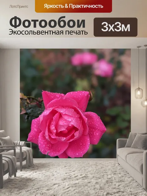 Фотообои Роза