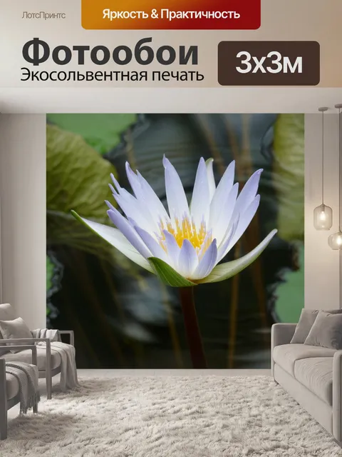 Фотообои Водяная лилия
