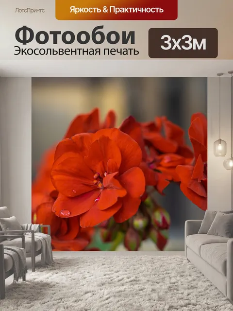 Фотообои Красная герань