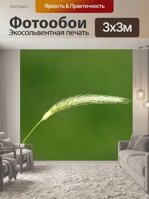 Фотообои Острие травы